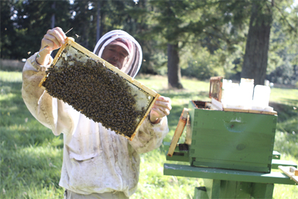 Northwest Queens beekeeper Mark Adams